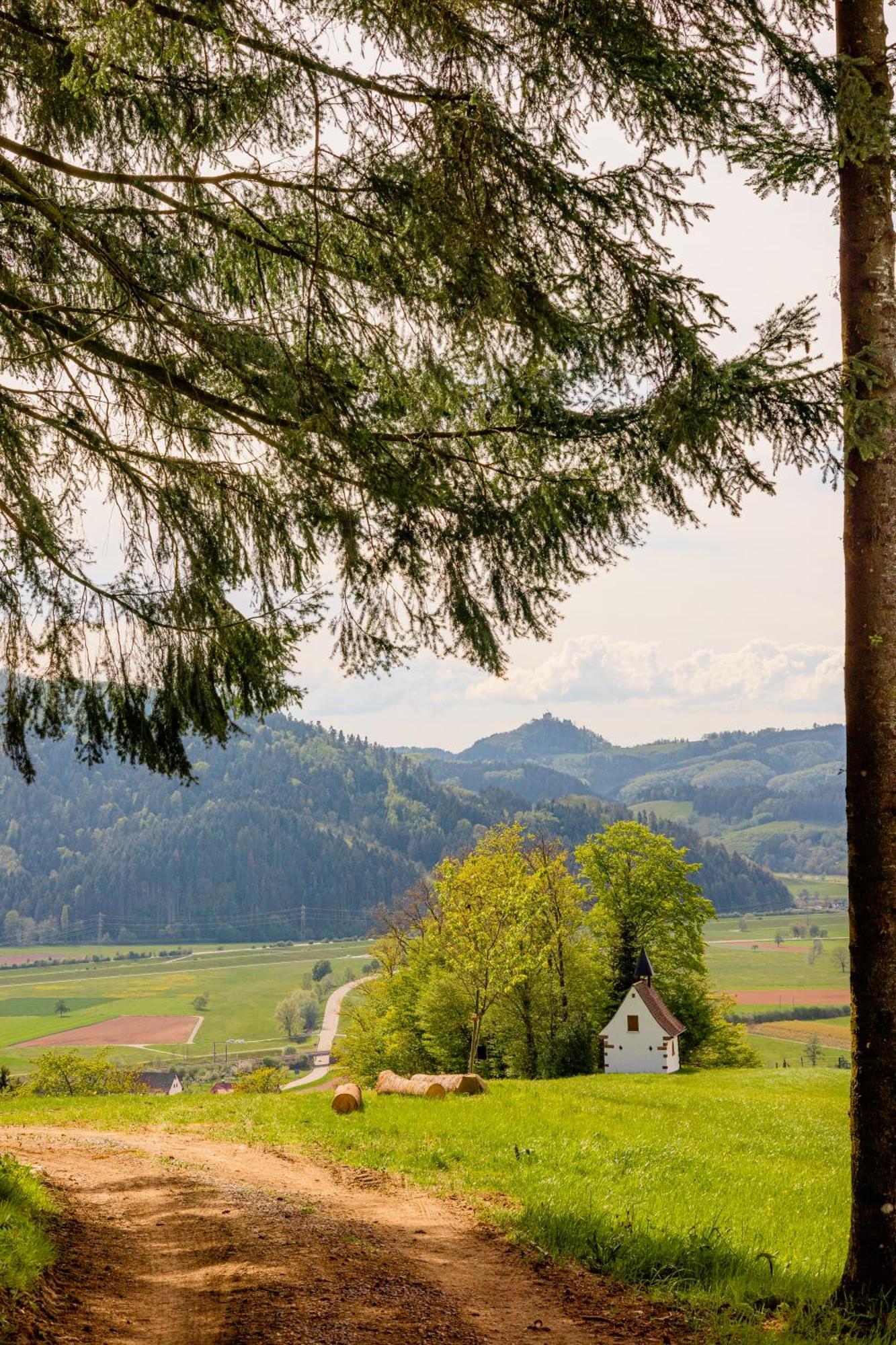 Landhotel Gasthaus Zum Pflug Zell am Harmersbach Eksteriør billede